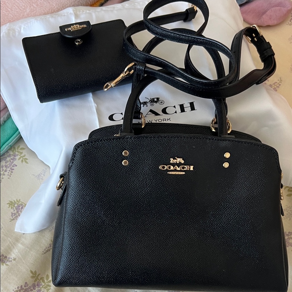 Coach Mini Lillie Carryall and Wallet Set